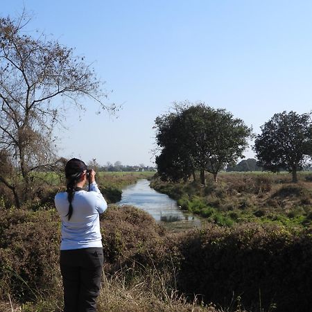 Lumbini Buddha Garden Resort Exterior foto