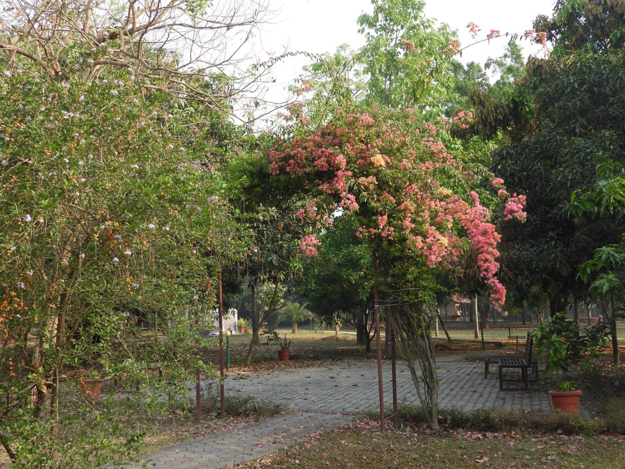 Lumbini Buddha Garden Resort Exterior foto